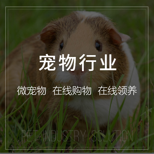 梅州问诊APP复诊提醒功能打开率不足5%的交互动线诊断